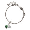 Silver Plated Small Green Paw - Silver Plated Twist Rope Bead Charm Dangle with Mini Year 2025 on a large hole bead bracelet Jewelry Ideas and Examples