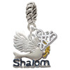 Silver Plated Shalom with Dove - Silver Plated Twist Rope Bead Charm Dangle with Mini Year 2025: Year to Remember Jewelry Gift - Celebrations