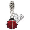 Silver Plated Mini Red Translucent Ladybug - Silver Plated Twist Rope Bead Charm Dangle with Mini Year 2025: Year to Remember Jewelry Gift - Celebrations