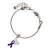 Silver Plated Purple Ribbon - Silver Plated Twist Rope Bead Charm Dangle with Mini Year 2025 on a large hole bead bracelet Jewelry Ideas and Examples