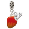 Silver Plated 3-D Enamel Mango - Silver Plated Twist Rope Bead Charm Dangle with Mini Year 2025: Year to Remember Jewelry Gift - Celebrations