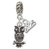 Silver Plated Antiqued Owl with Clear Crystal Eyes - Silver Plated Twist Rope Bead Charm Dangle with Mini Year 2025: Year to Remember Jewelry Gift - Celebrations