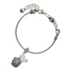 Silver Plated Tortoise - Silver Plated Twist Rope Bead Charm Dangle with Mini Year 2025 on a large hole bead bracelet Jewelry Ideas and Examples