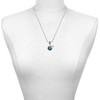 Silver Plated Teal Paw on Black Disc - Silver Plated Twist Rope Bead Charm Dangle with Mini Year 2025 as a necklace pendant