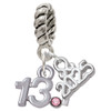 Silver Plated Half Marathon - 13.1 with Pink Crystal - Silver Plated Twist Rope Bead Charm Dangle with Mini Year 2025: Year to Remember Jewelry Gift - Celebrations