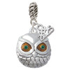 Silver Plated Large Round Owl with Green Crystal Eyes - Silver Plated Twist Rope Bead Charm Dangle with Mini Year 2025: Year to Remember Jewelry Gift - Celebrations