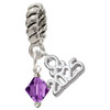 February - Purple Crystal Bicone - Silver Plated Twist Rope Bead Charm Dangle with Mini Year 2025: Year to Remember Jewelry Gift - Celebrations
