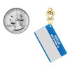 Acrylic Blue "Hello" Name Tag - Gold tone Filigree Heart Post Earrings