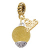 Gold-tone 12mm Stardust Round Spinner - Gold-tone Plated Twist Rope Bead Charm Dangle with Mini Year 2026