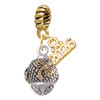 Gold-tone Dragonfly on Silver Plated Hatched Background Spinner - Gold-tone Plated Twist Rope Bead Charm Dangle with Mini Year 2026