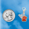 Silver Plated Small Orange Paw - Silver Plated Clip on Charm with Mini Year 2026 Jewelry Ideas and Examples