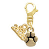 Gold-tone Mini Rounded Paw - Gold-tone Plated Clip on Charm with Mini Year 2026: Year to Remember Jewelry Gift - Celebrations