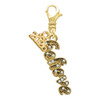 Gold-tone Crystal Script ''Believe'' - Gold-tone Plated Clip on Charm with Mini Year 2026: Year to Remember Jewelry Gift - Celebrations