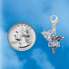 Silver Plated Caduceus - DDS - Silver Plated Clip on Charm with Mini Year 2026 Jewelry Ideas and Examples