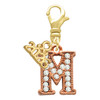 Rose Gold-tone Crystal Initial - M - Gold-tone Plated Clip on Charm with Mini Year 2026: Year to Remember Jewelry Gift - Celebrations