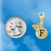 Gold-tone Capital Letter - F - Pebble Disc - Gold-tone Plated Clip on Charm with Mini Year 2026 Jewelry Ideas and Examples