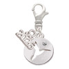 Silver Plated Hummingbird Disc - Silver Plated Clip on Charm with Mini Year 2026: Year to Remember Jewelry Gift - Celebrations