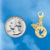 Gold-tone Dove Disc - Gold-tone Plated Clip on Charm with Mini Year 2026 Jewelry Ideas and Examples