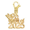 Gold-tone Class of 2025 - Gold-tone Plated Clip on Charm with Mini Year 2026: Year to Remember Jewelry Gift - Celebrations
