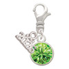 10mm Lime Green Crystal Drop - Silver Plated Clip on Charm with Mini Year 2026: Year to Remember Jewelry Gift - Celebrations