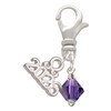 Purple Velvet Crystal Bicone - Silver Plated Clip on Charm with Mini Year 2026: Year to Remember Jewelry Gift - Celebrations