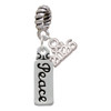 Silver Plated Peace - Silver Plated Twist Rope Bead Charm Dangle with Mini Year 2026: Year to Remember Jewelry Gift - Celebrations