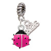 Silver Plated Mini Hot Pink Ladybug - Silver Plated Twist Rope Bead Charm Dangle with Mini Year 2026: Year to Remember Jewelry Gift - Celebrations