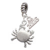 Silver Plated Antiqued Crab - Silver Plated Twist Rope Bead Charm Dangle with Mini Year 2026: Year to Remember Jewelry Gift - Celebrations