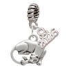 Silver Plated Panther - Silver Plated Twist Rope Bead Charm Dangle with Mini Year 2026: Year to Remember Jewelry Gift - Celebrations