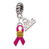Silver Plated Hot Pink Ribbon with Softball - Silver Plated Twist Rope Bead Charm Dangle with Mini Year 2026: Year to Remember Jewelry Gift - Celebrations