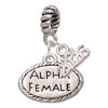 Silver Plated Alpha Female Oval - Silver Plated Twist Rope Bead Charm Dangle with Mini Year 2026: Year to Remember Jewelry Gift - Celebrations
