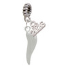 Silver Plated Good Luck Italian Horn - Silver Plated Twist Rope Bead Charm Dangle with Mini Year 2026: Year to Remember Jewelry Gift - Celebrations