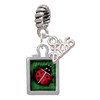 Silver Plated Red Ladybug in Shadow Box - Silver Plated Twist Rope Bead Charm Dangle with Mini Year 2026: Year to Remember Jewelry Gift - Celebrations
