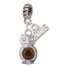 Silver Plated 3-D Brown & AB Crystal Owl - Silver Plated Twist Rope Bead Charm Dangle with Mini Year 2026: Year to Remember Jewelry Gift - Celebrations