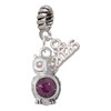Silver Plated 3-D Purple & AB Crystal Owl - Silver Plated Twist Rope Bead Charm Dangle with Mini Year 2026: Year to Remember Jewelry Gift - Celebrations