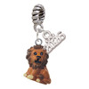 Resin Tan Lion - Silver Plated Twist Rope Bead Charm Dangle with Mini Year 2026: Year to Remember Jewelry Gift - Celebrations