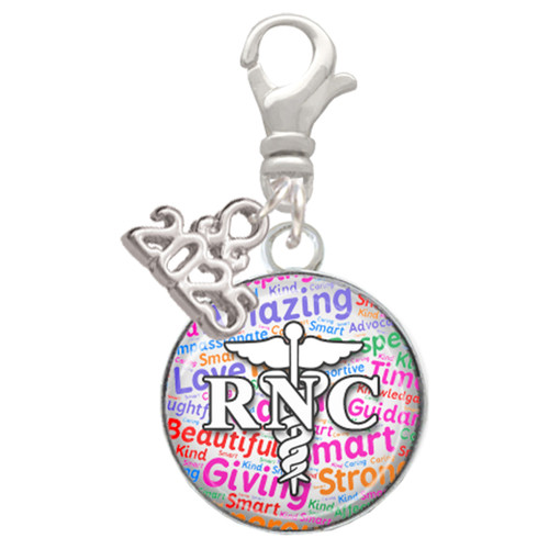 Silver Plated Domed Multi Color RNC - Silver Plated Clip on Charm with Mini Year 2025: Year to Remember Jewelry Gift - Celebrations