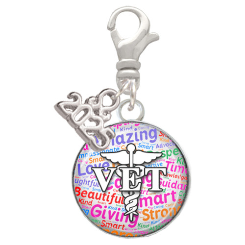 Silver Plated Domed Multi Color VET - Silver Plated Clip on Charm with Mini Year 2025: Year to Remember Jewelry Gift - Celebrations