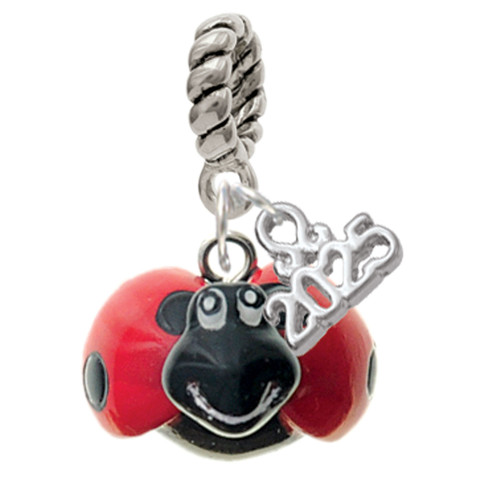 Resin Red & Black Ladybug Sweetie - Silver Plated Twist Rope Bead Charm Dangle with Mini Year 2025: Year to Remember Jewelry Gift - Celebrations