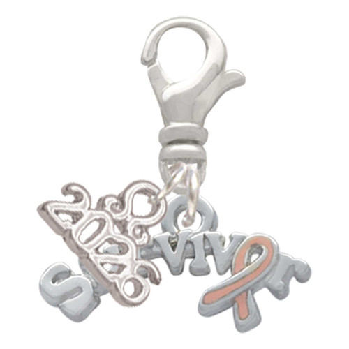 Silver Plated Survivor with Pink Ribbon - Silver Plated Clip on Charm with Mini Year 2026: Year to Remember Jewelry Gift - Celebrations