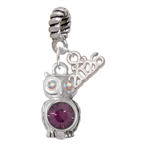 Silver Plated 3-D Purple & AB Crystal Owl - Silver Plated Twist Rope Bead Charm Dangle with Mini Year 2026: Year to Remember Jewelry Gift - Celebrations