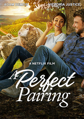 A Perfect Pairing (2022) DVD