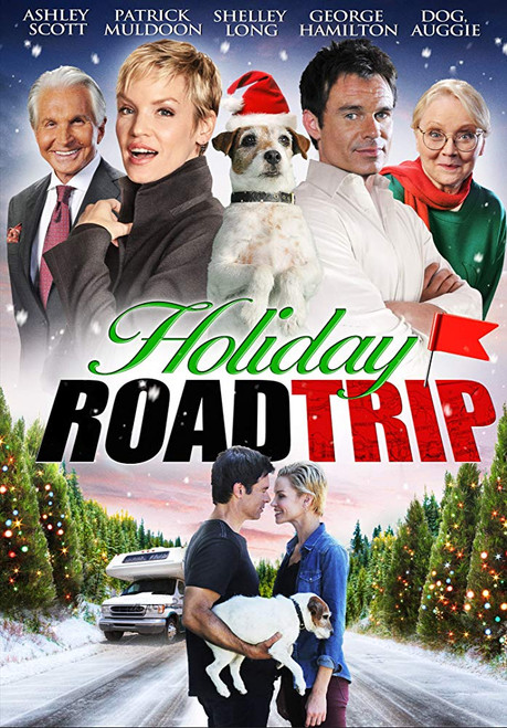 Holiday Road Trip (2013) DVD