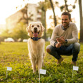 PetLuv™ Electric Dog Fence System product image