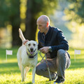 PetLuv™ Electric Dog Fence System product image