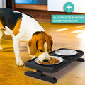 Adjustable Pet Stand Feeder with 2 Stainless Steel Bowls product image