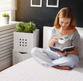 Electric Low-Voltage 5-Temperature Mode Heated Twin Blanket product image