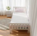 Electric Low-Voltage 5-Temperature Mode Heated Twin Blanket product image