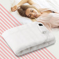 Electric Low-Voltage 5-Temperature Mode Heated Twin Blanket product image