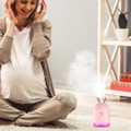 iMounTEK® 220ml Cool Mist Humidifier product image